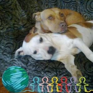 Meet your Posher, Richard